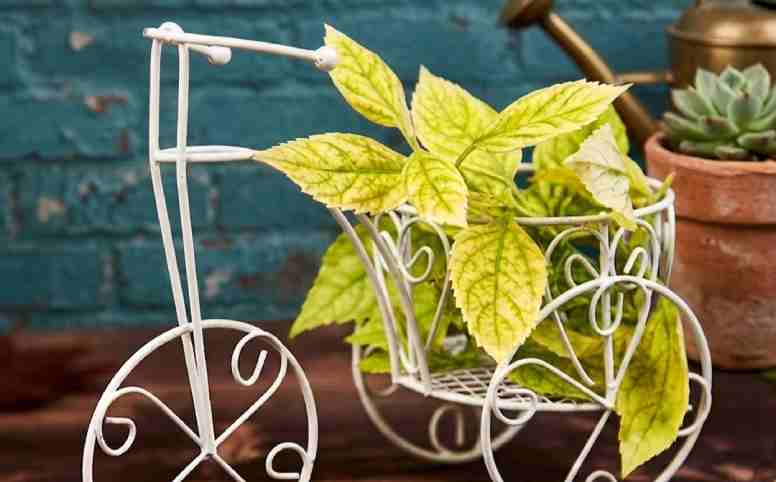 Buy Once, Style for Years: How to Select Decorative Items That Grow with Your Style Blog
